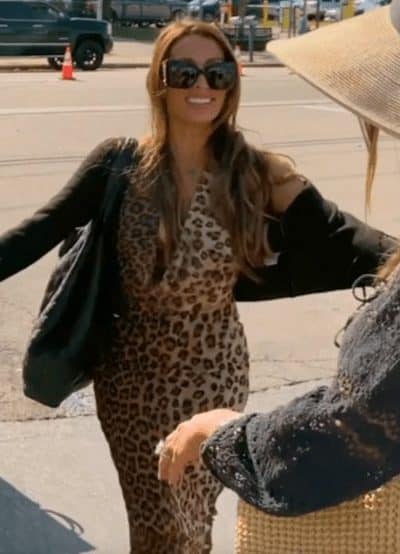 Alicia Carmody’s Leopard Print Maxi Dress - Product Image